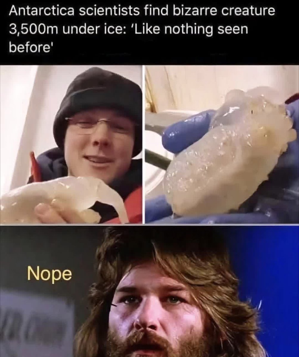 silvergracejean's tweet image. We never learn….lets touch it without 🧤gloves #creepy #creature #scientificthinking