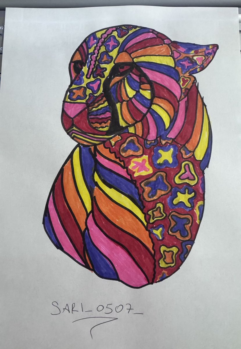 Mega Cheetah tweet media