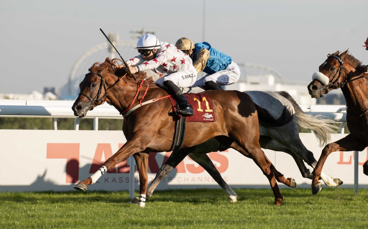 Blandford Bloodstock (@blandfordbldstk) on Twitter photo 🥇AAFOOR🥇 wins the H.H The Amir Shalfa at the #HHAmirSwordFestival in Qatar 👏🏼 His second win on the bounce, and third win of the 24/25 season 🙌🏼 Congratulations to connections! He was bought from the <a href="/Tattersalls_ie/">Tattersalls Ireland</a> <a href="/BrzUps/">Breeze Up Sales</a> from <a href="/grovestud/">Grove Stud</a> #AnEyeForSuccess #BlandfordBloodstock 🥇AAFOOR🥇 wins the H.H The Amir Shalfa at the #HHAmirSwordFestival in Qatar 👏🏼 His second win on the bounce, and third win of the 24/25 season 🙌🏼 Congratulations to connections! He was bought from the <a href="/Tattersalls_ie/">Tattersalls Ireland</a> <a href="/BrzUps/">Breeze Up Sales</a> from <a href="/grovestud/">Grove Stud</a> #AnEyeForSuccess #BlandfordBloodstock