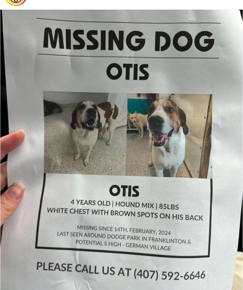 Columbus friends, especially on the south and west side of town, keep an eye out for sweet Otis. 
He is a runner but very food motivated.