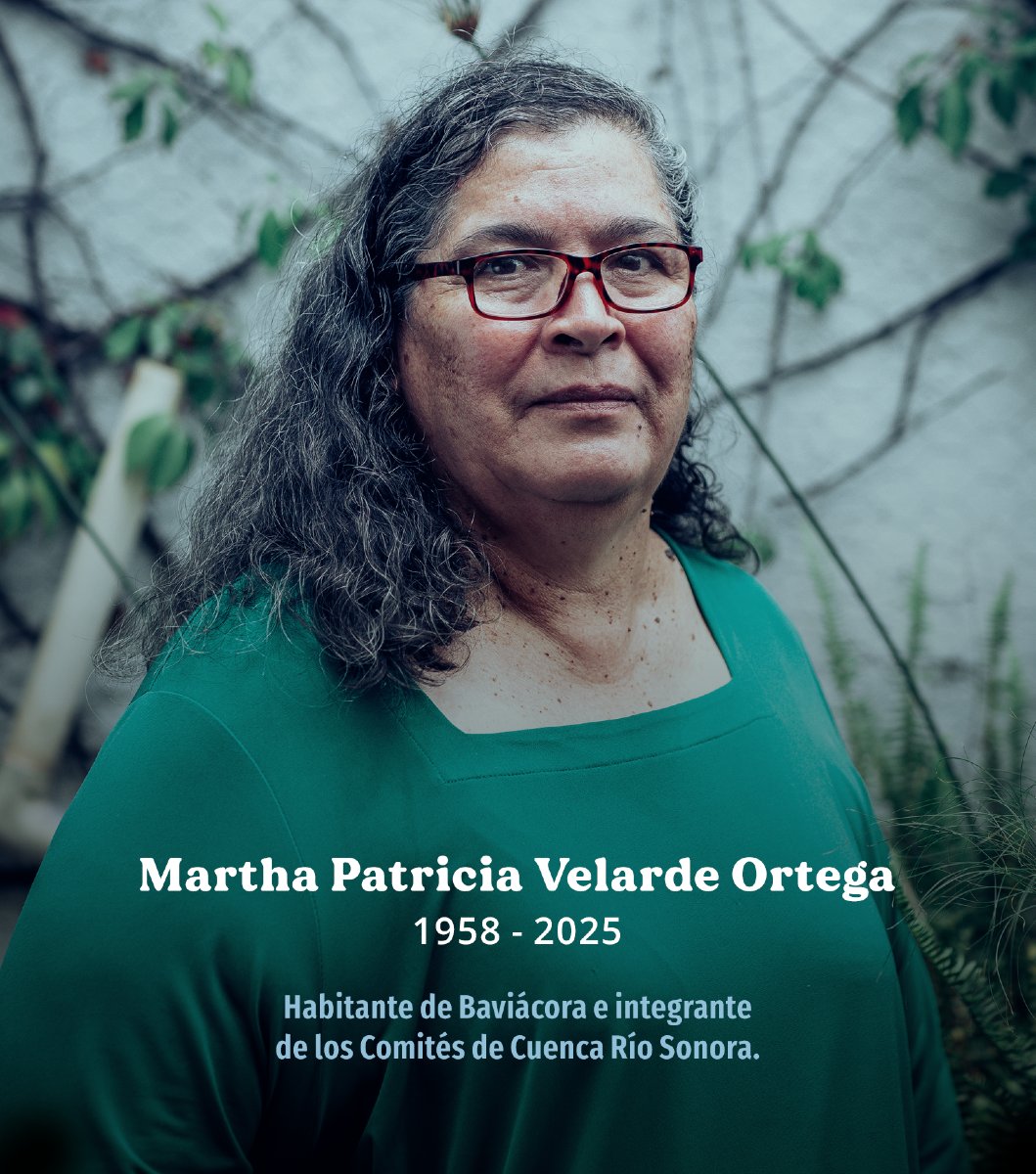 CuencaRioSonora's tweet photo. Hoy nos duele el corazón. Se nos fue Martha Patricia Velarde, compañera valiente de @CuencaRioSonora.

Su fuerza, dignidad y lucha por el #RíoSonora no serán olvidadas. Seguiremos exigiendo justicia en su nombre.

Descansa en paz, Paty.🤍🕊️ https://t.co/guUWHqWjlB