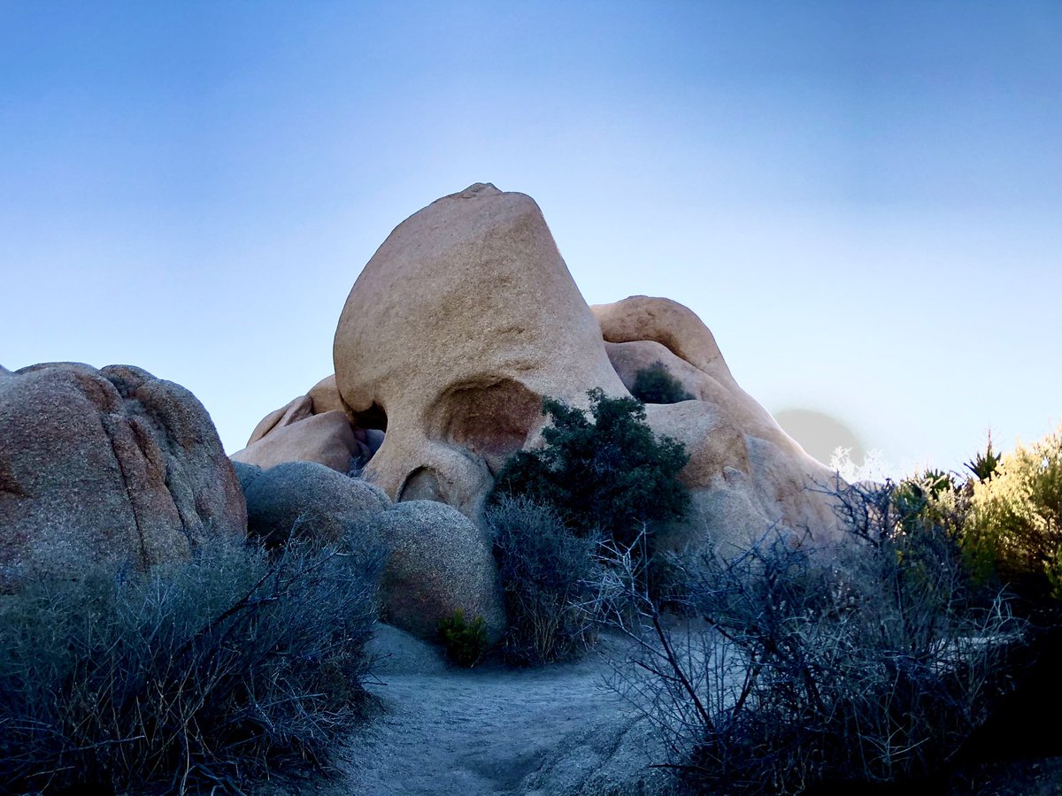 HeyMattBorowski's tweet image. #FacesOfNature #SkullRock #JoshuaTreeNP