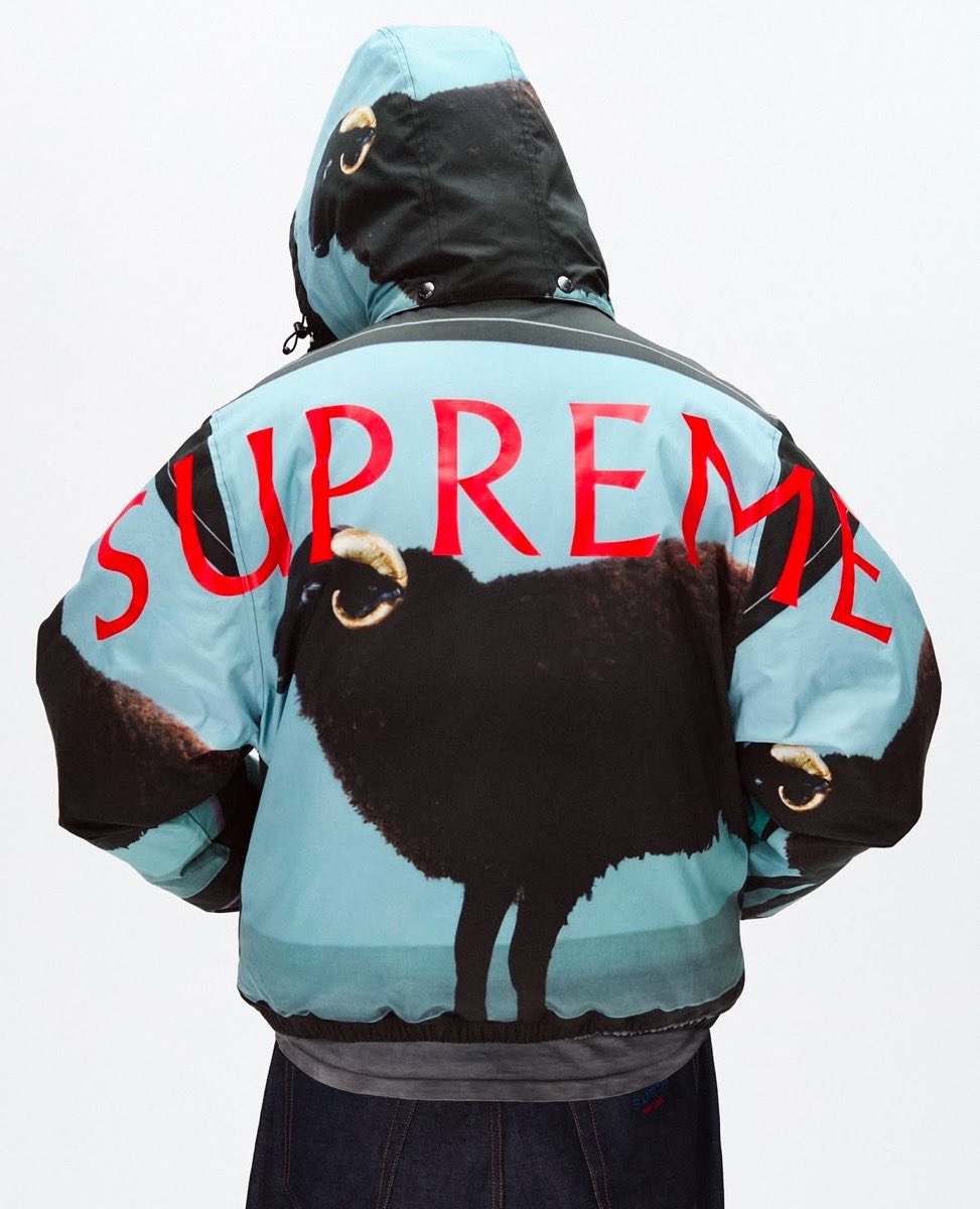 Supreme Damien Hirst シュプリーム ダミアン ハースト Supreme | Damien Hirst Tee - ParkSIDER