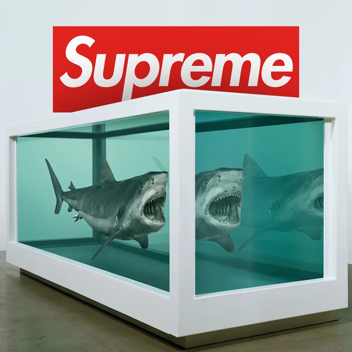 Supreme x Damien Hirst コラボが約16年ぶりに復活 【シュプリーム