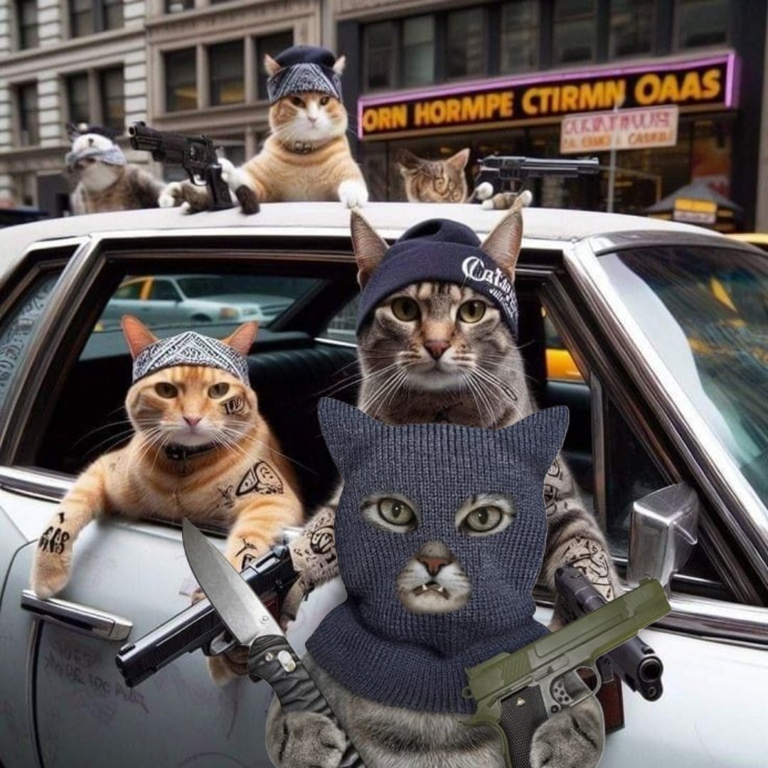 We already build the community on $RICA 

2NToFHyD5Ccu9GhNjneXvSyXokJK2CiJqDm1Mfccpump

#Crime #Cat $RICA
