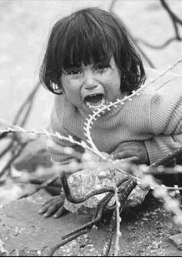 Fatima25369798's tweet image. The promised savior will organize the government in such a way that the word oppression will disappear from minds and no one will oppress another. Whoisimammahdi.com
#ThePromisedSaviour
#SociDeveloper_com #ARCA
#Gaza
 Gaza | Hamas 
#saturdaymorning