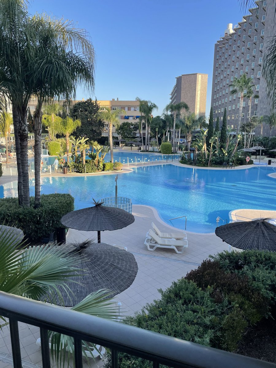 Jonas Hermann Schwartz tweet media