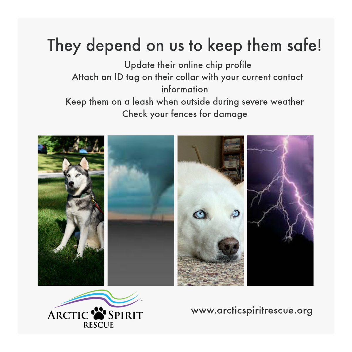 High winds and storms are predicted for our area. Take a moment to inspect your fence and make sure your dog has ID on his collar. #keepthemsafe