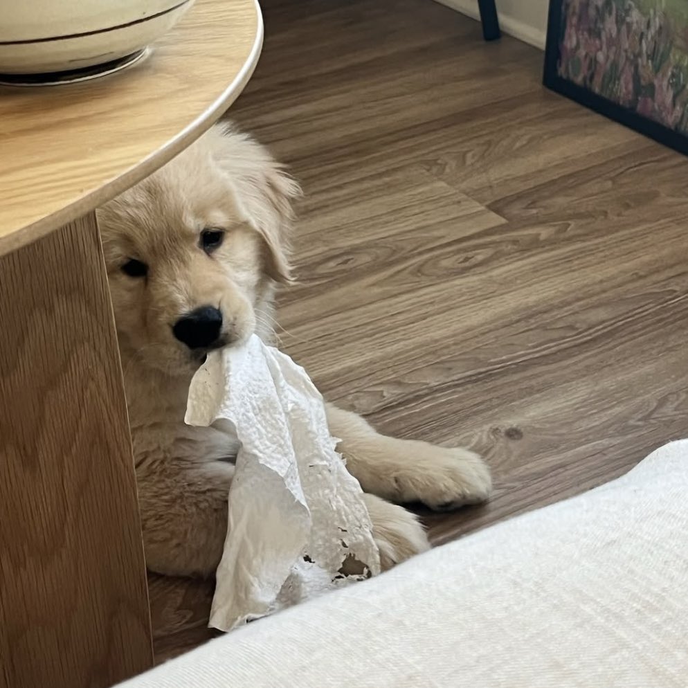 มั่ยต้อมเข้ามา นอนข้างนอก 😡