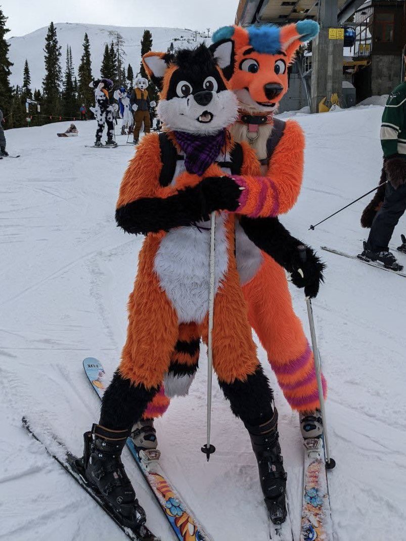 🦝💜🧡💜🧡🦊