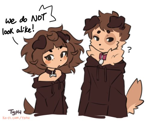 sibs