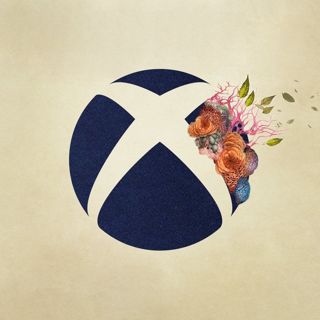 Xbox tweet media