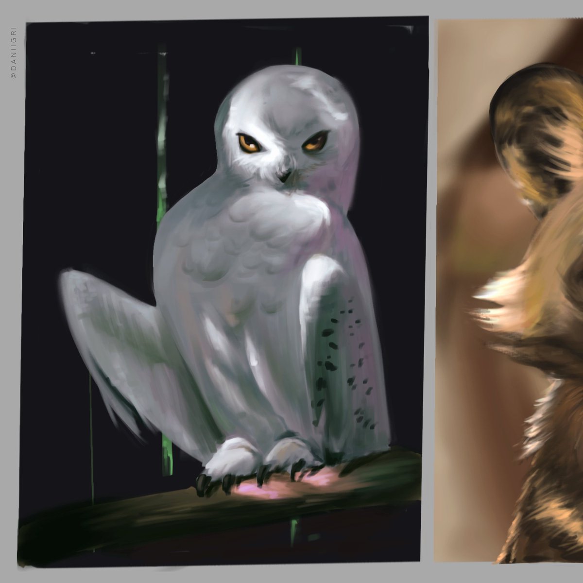 daniigri1's tweet photo. Random studies :)

#humanart #art #illustration #Procreate #digitalart https://t.co/k4LGjnY1Dx