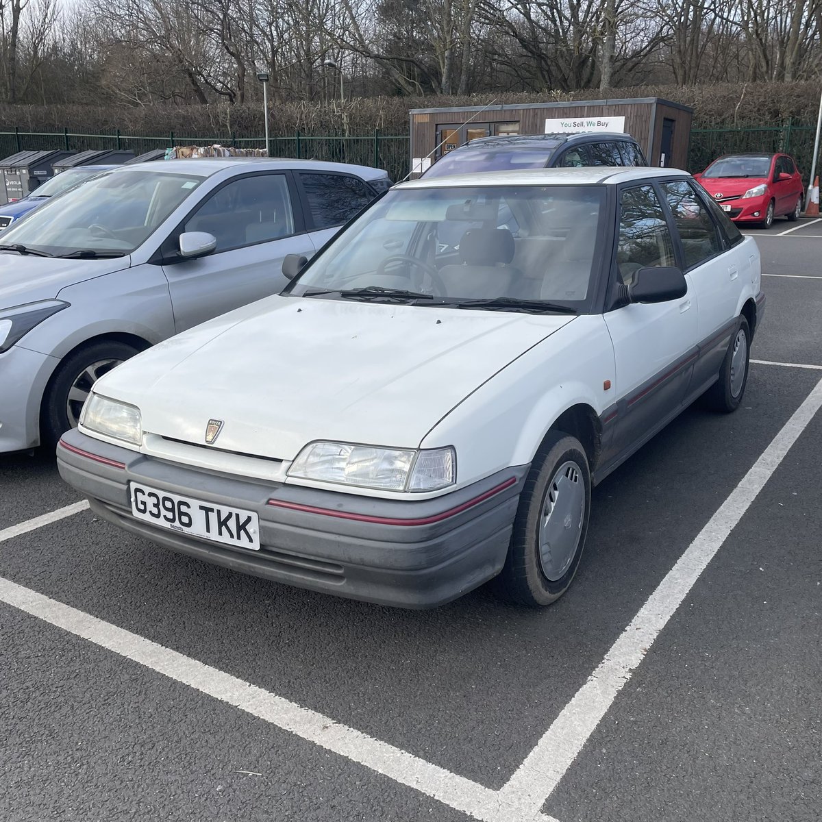 Shane Wilkinson tweet media