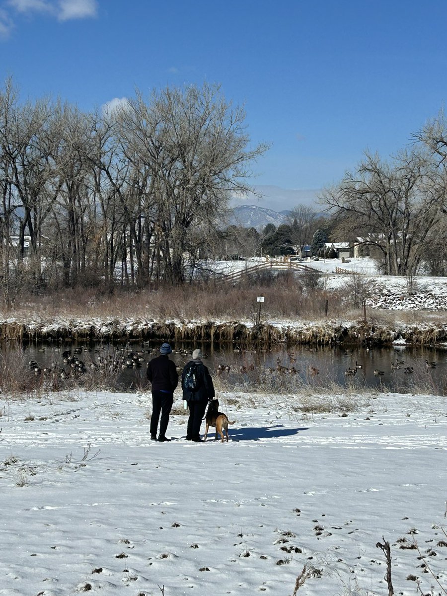 We love when visitors peep responsibly. Even the proud leashed pupp got some bird watching in 😊😊👍🏻👍🏻