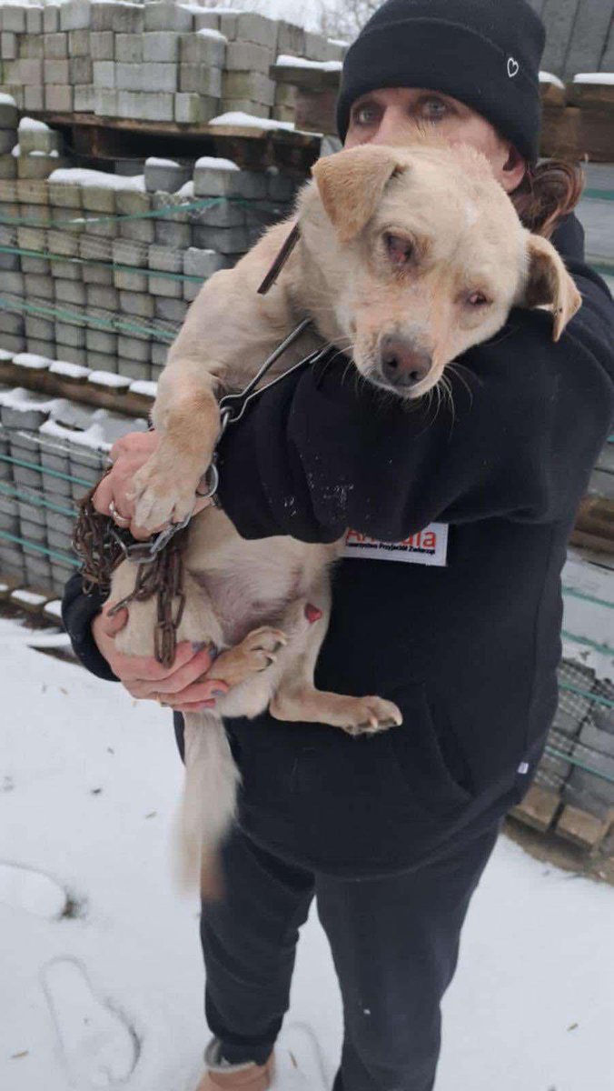 💔🖤PIES BITY METALOWYM PRĘTEM, DO OCZU WLANA ŻRĄCA CIECZ…
Bestialstwo powala❗️
Polacy politycy nie reagują na prośby zaostrzenia prawa o ochronie praw zwierząt GDZIE JEST PARLAMENTARNY ZESPÓŁ DS OCHRONY PRAW ZWIERZĄT ?
Więcej info komentarzach
ZBIÓRKA ⬇️
ratujemyzwierzaki.pl/napomoctymkowi