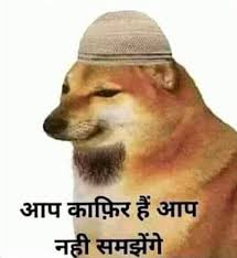 Aayush tweet media