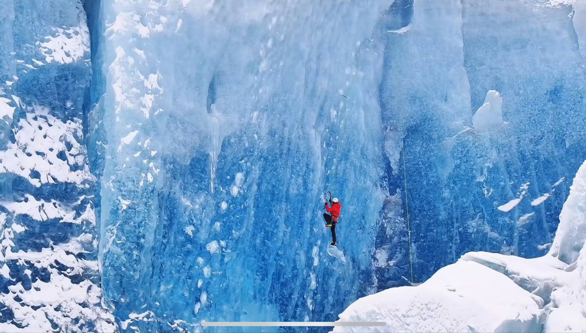 Odile、 tweet media