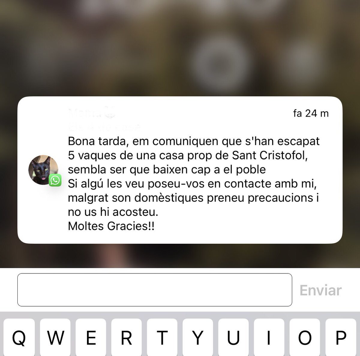 Ser de poble és un tema