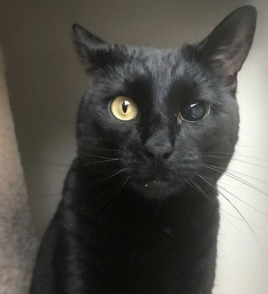 ✞ 🗝️ (@hakaelll) on Twitter photo 