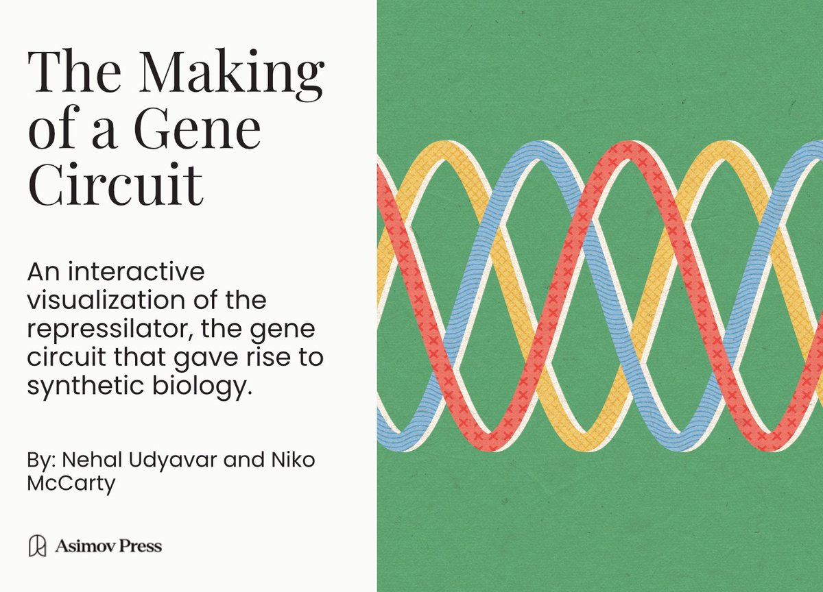 How to "program" living cells.🧫

In 2000, physicists ( <a href="/ElowitzLab/">ElowitzLab</a>) made bacteria blink on-and-off every 150 minutes. Their experiment, which blended mathematics and wet-lab methods, launched the field of synthetic biology.

Learn how they did it in my first interactive story.