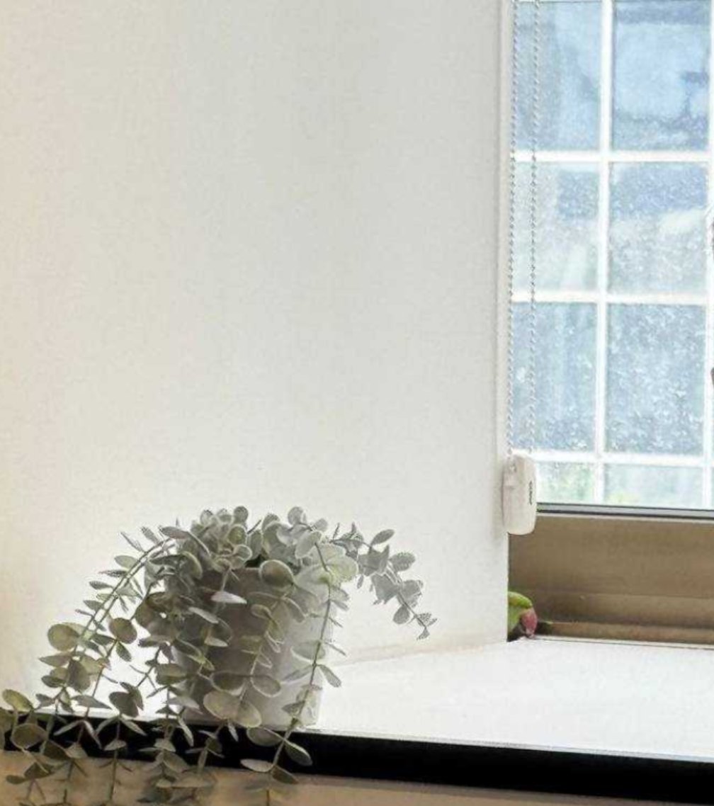 IsraeliHadash's tweet image. Что ни день, то Израиль. В офис прокрался индийский кольчатый попугай, теперь тусит в опоясывающем техническом подоконнике. Хрен ты эту падлу выгонишь. По ночам гадит на мониторы, срёт зелёной сранью.

На фотке слева оно в домике, на фотке справа такое же оно в природе.