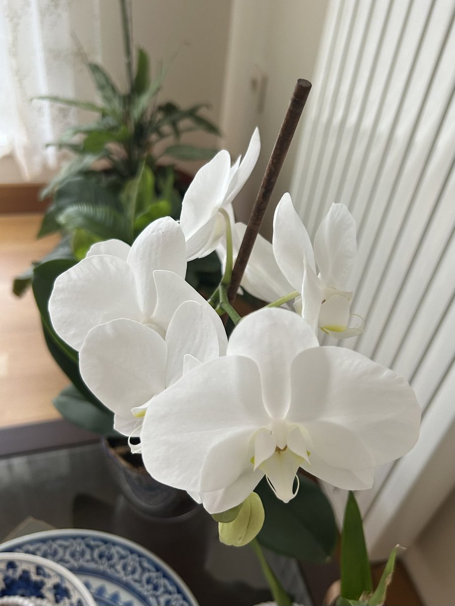 Hakkıyla yapılan her iş sanatlaşır.