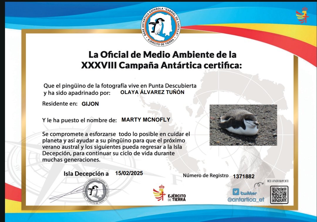 Os presento a Marty McNoFly haciendo honor a su nombre. La campaña de <a href="/Antartica_ET/">Contingente Antártico ET</a> me ha hecho el día con mi pingüino ❤️ no creéis que su nombre le va perfecto? pensaré en él cada vez que recicle.