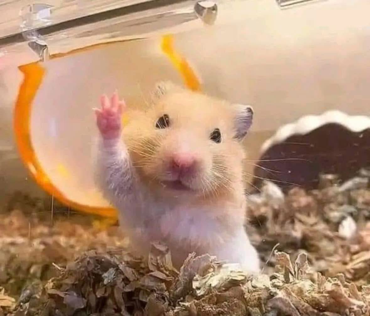 The giveaway is happening in just 3-4 hours! Don’t miss your chance to participate in the sub post! ♥️✨☀️🥹

When I win, we all win! Let’s go for it together!

If you’re not part of my community yet, join us for just $3.00! ✨📈

Love and appreciate each one of you! 

Let’s make