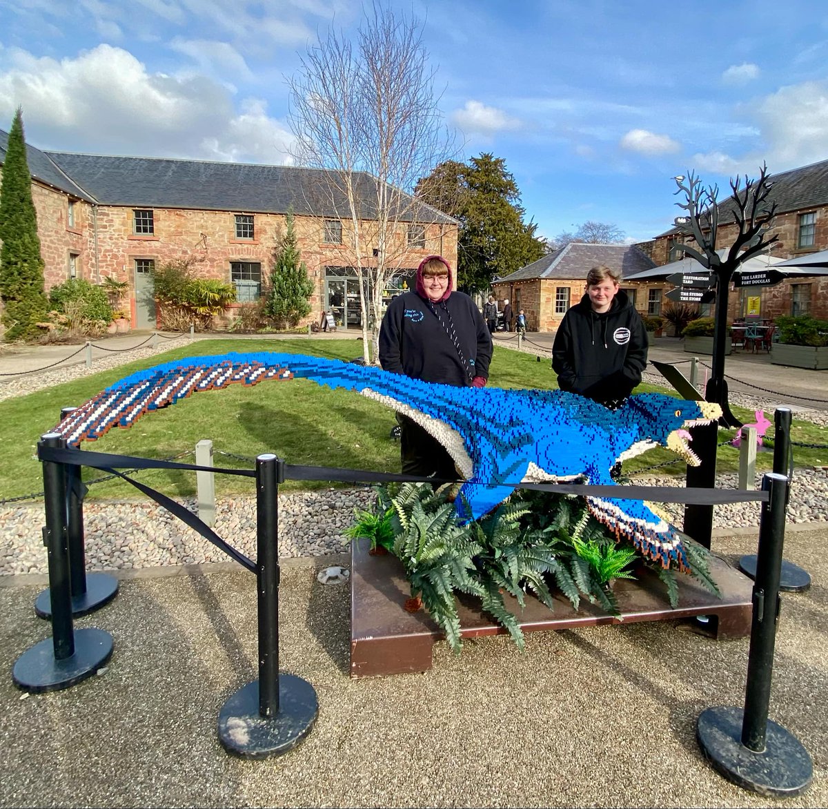 Teo 🌻🏳️⚧️ tweet media