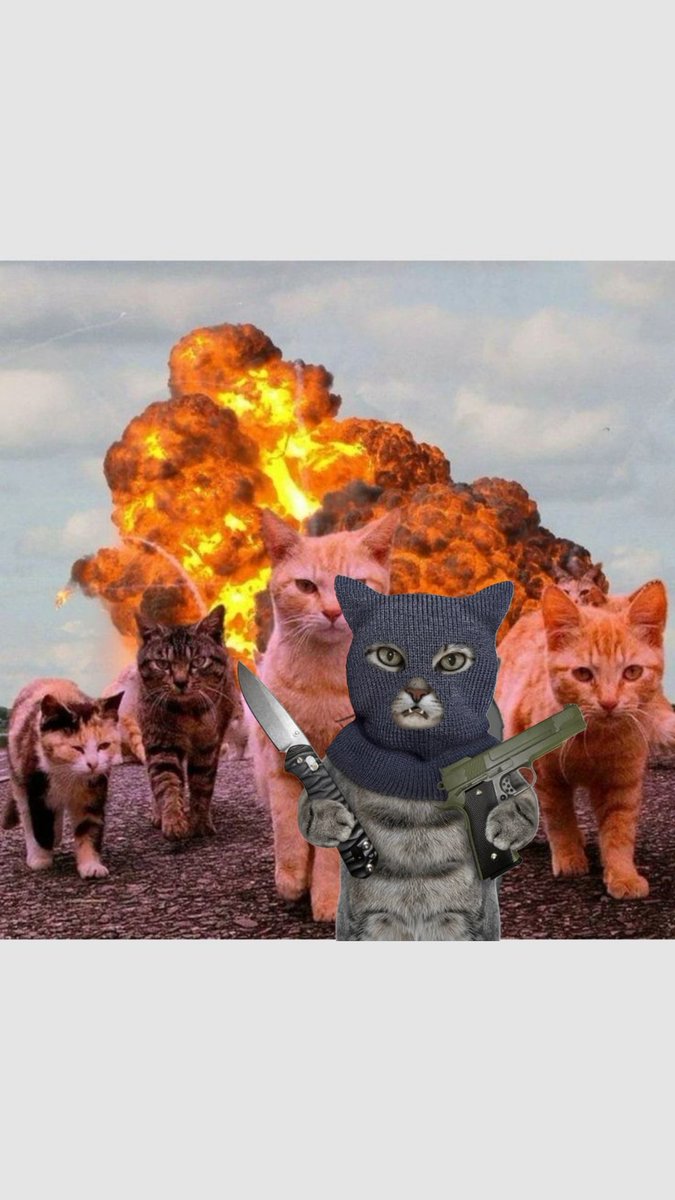 $RICA Ready for blow up to millys !

Dont miss your second chance !

2NToFHyD5Ccu9GhNjneXvSyXokJK2CiJqDm1Mfccpump