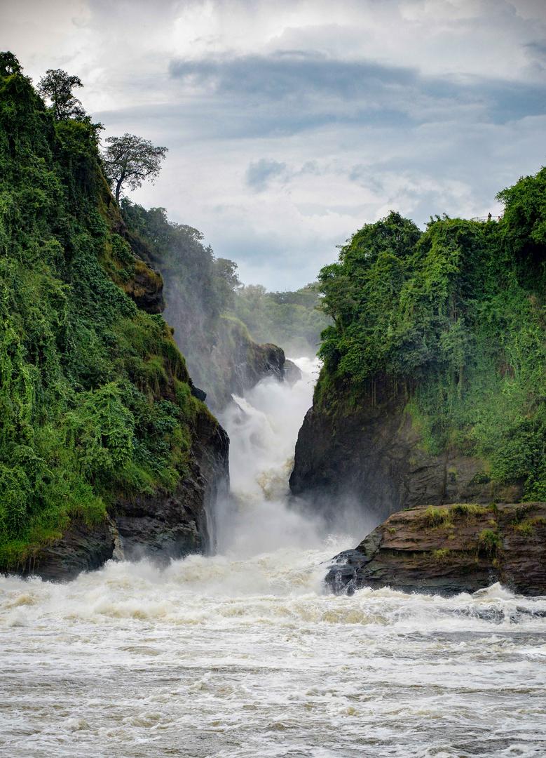 eventarchitectg's tweet photo. Ugandan 🇺🇬 Gift to the World!
Murchison Falls National Park. 

#VisitUganda#Ugandawaterfalls,#Ugandatouristdestination, #events #innovation #eventplanner #meetingplanner #mice #meetings #meetingsandevents #business #events #mice #future #eventprofs #eventarchitekt https://t.co/RSCQfOQ4gd