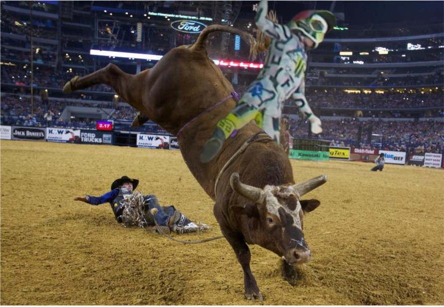 Snow Board tweet media