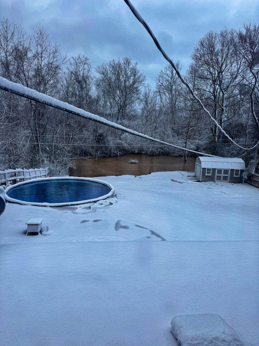 Lindsay Hines tweet media