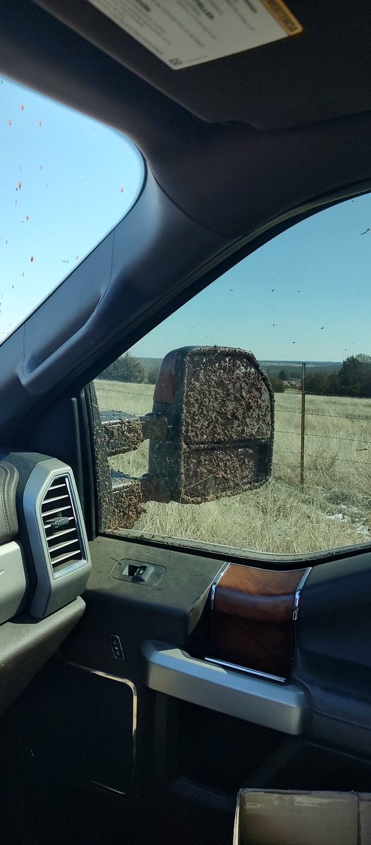 Parker Cattle tweet media