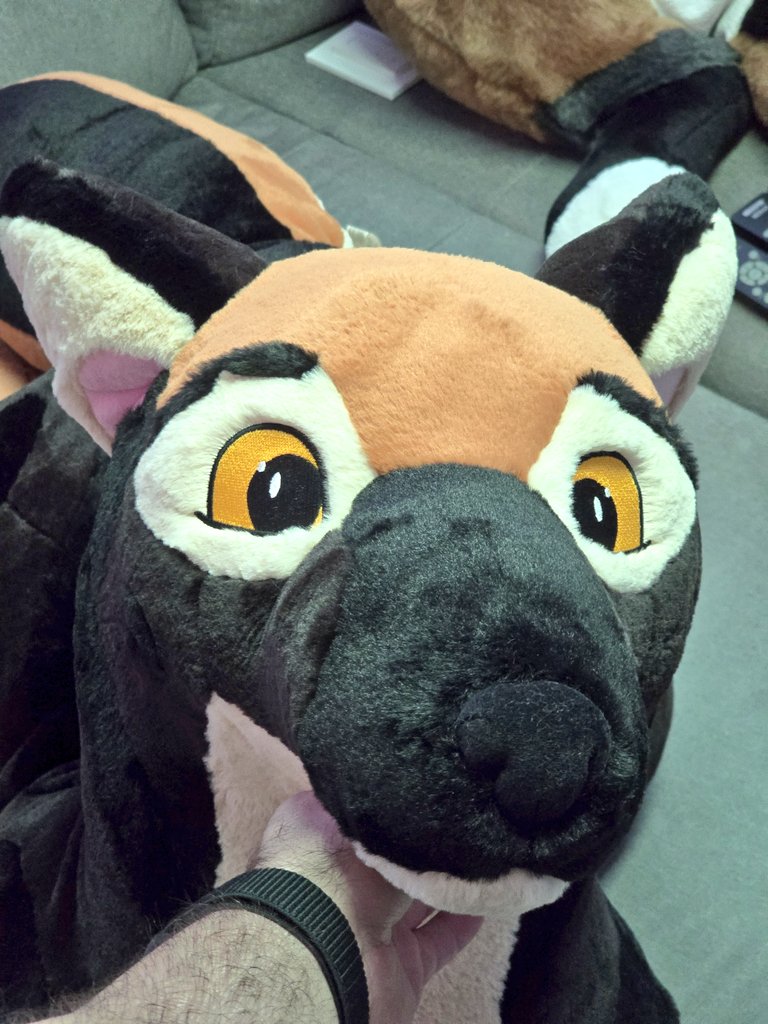 PlushLife tweet media