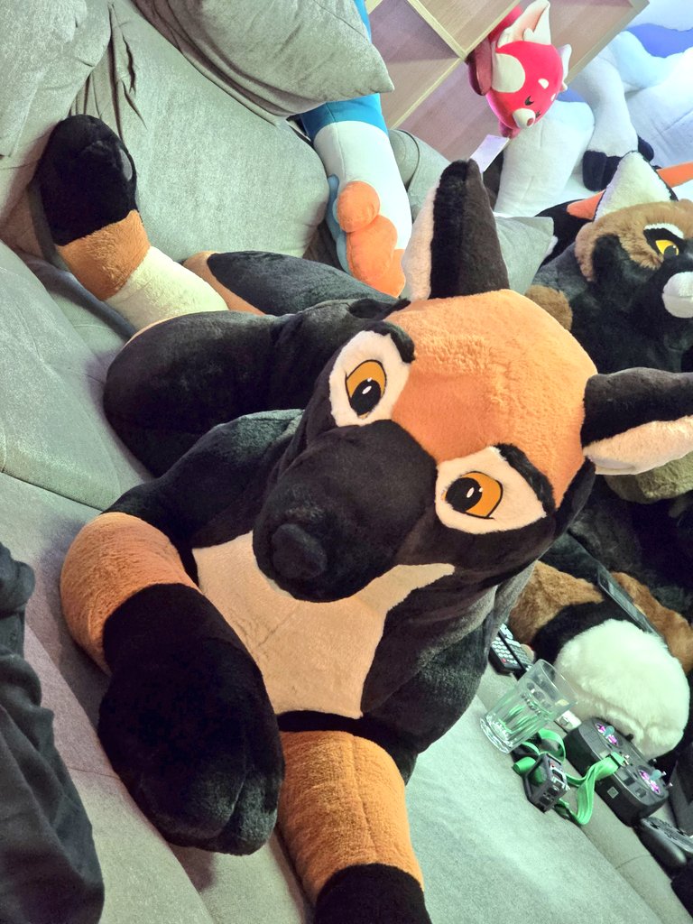 PlushLife tweet media