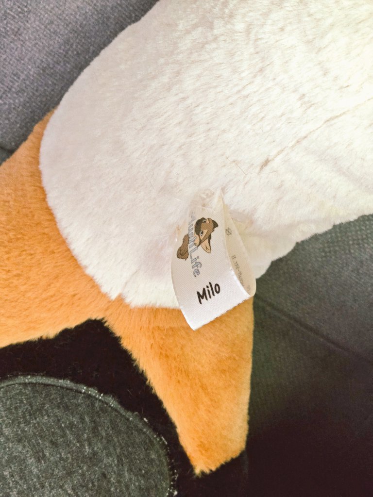 PlushLife tweet media