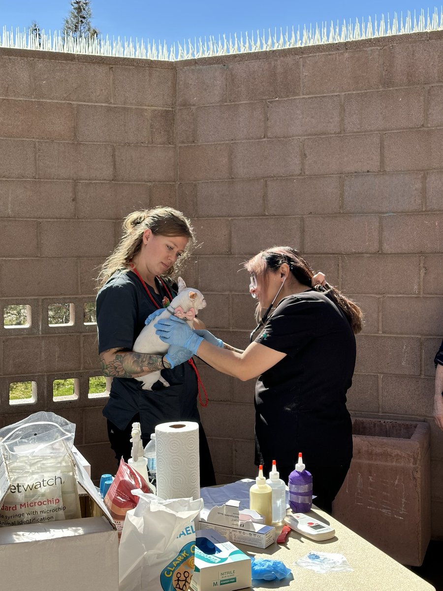 CommishNaft's tweet image. Yesterday, 200 animals were vaccinated and microchipped during our annual vaccine clinic in #Laughlin, courtesy of the wonderful veterinary team at @animalfndlv. After getting their pets lifesaving shots, attendees enjoyed complimentary food, music, and more.