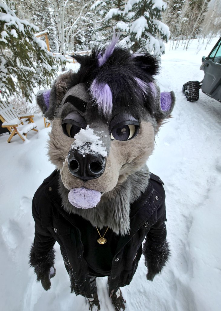 pov:  you hit this stupid dumb idiot with a snowball