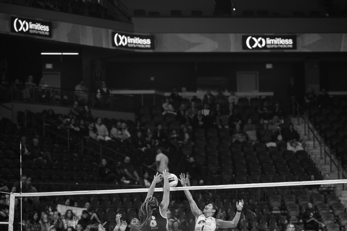 vegasthrillvb's tweet photo. Some b&amp;w moments 📸

#JoinTheRide🎢 | #RealProVolleyball #ProVolleyball https://t.co/yxT4HszS93