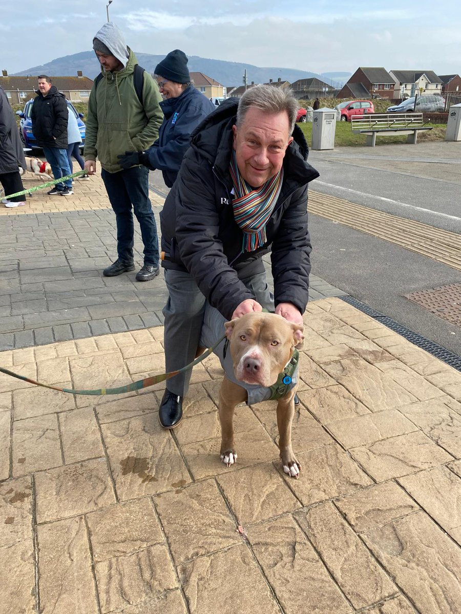 KevJohnscymru's tweet image. Great time this morning at the @LlysNini Mutt Strutt on Aberavon Sea Front. An amazing turn 130 dogs!  Well done everyone!