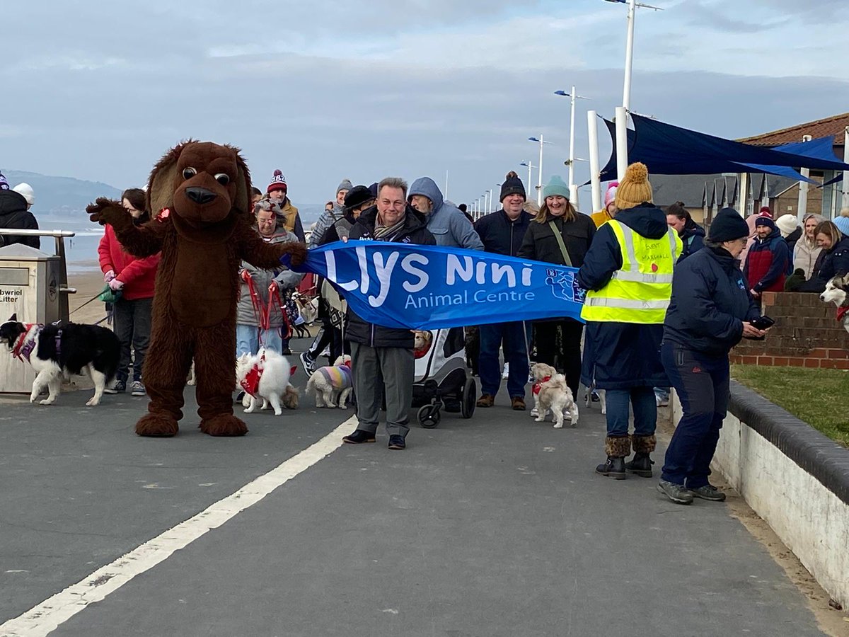 KevJohnscymru's tweet image. Great time this morning at the @LlysNini Mutt Strutt on Aberavon Sea Front. An amazing turn 130 dogs!  Well done everyone!