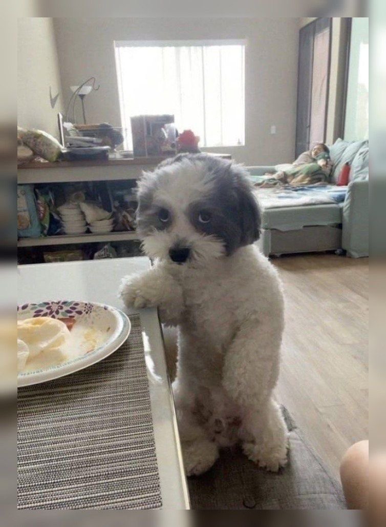 Previsões acabou de perder um seguidor