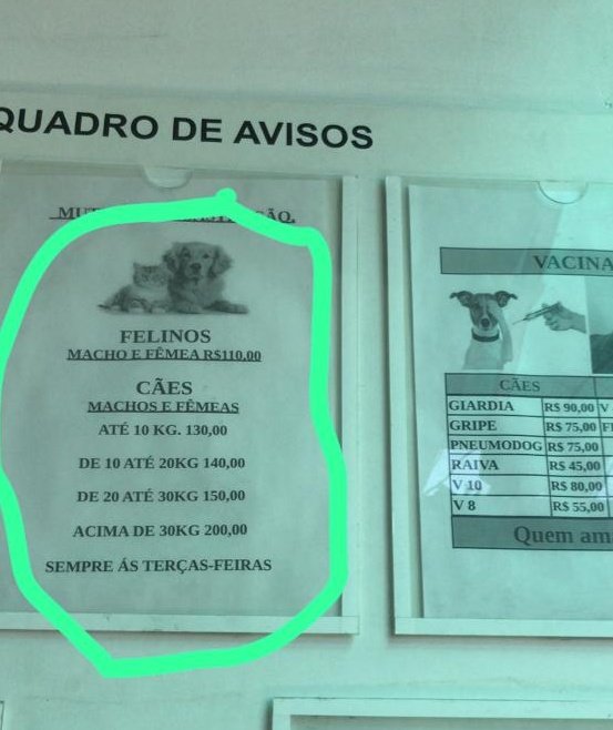 Castrar meu gato e talvez uma gatinha q está me adotando skksks