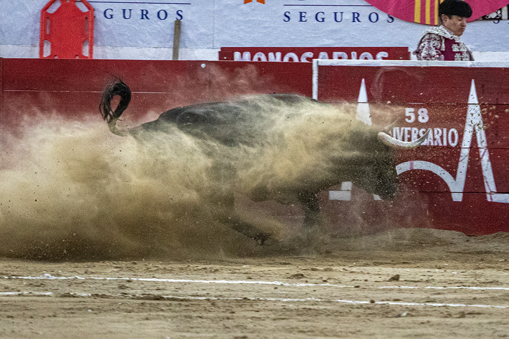javierhoyos's tweet image. Durante la quinta corrida del serial 2025 en la Nuevo Progreso de Guadalajara @emsa_gdl hubo de todo como en botica, un espontaneo que toreo a personal de seguridad, un sub alterno lesionado al caer mal, toros con buena pinta y una afición feliz con el espectáculo taurino.