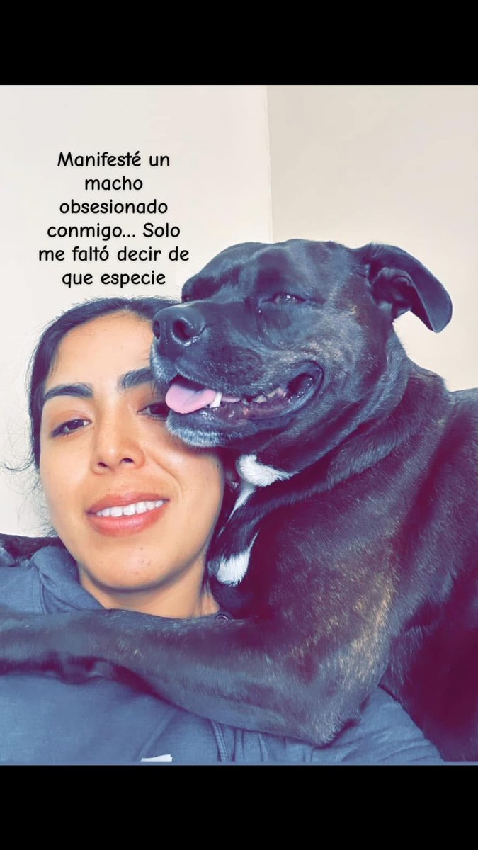 Dilo con perritos tweet media