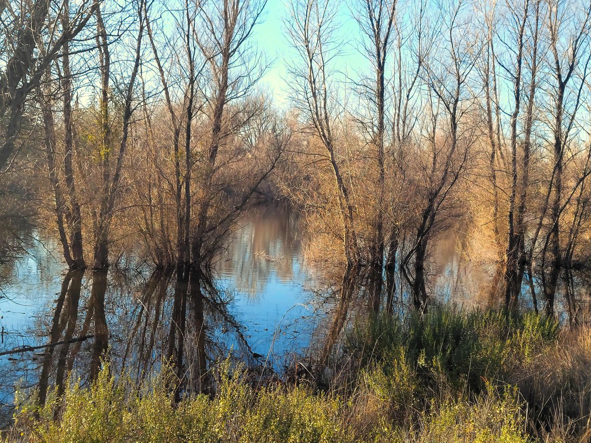 thinklist's tweet image. The calm consciousness in our daily lives
like the wind, like the water,
try not to lose that stillness.

일상 속에서 고요한 의식은
바람처럼, 물처럼 흘러가되, 
그 고요함을 잃지 않는 상태로 이르도록 합니다.