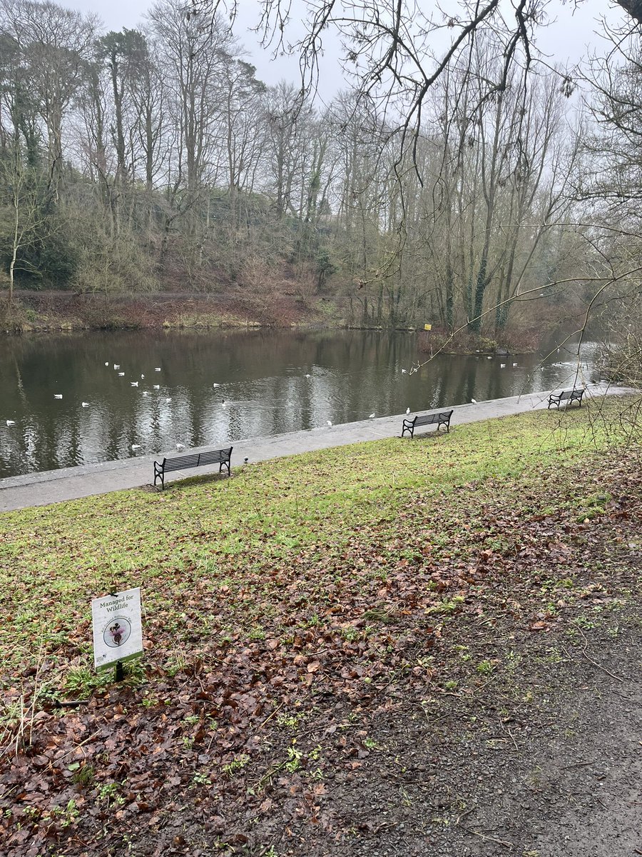 Aidan Dawson (@explainedsnow) on Twitter photo Today’s run in the wet was great. <a href="/annmcbrien_/">Ann McBrien</a> #100YourWay <a href="/5kYWBelfast/">5kYWBelfastOrmeau</a> 13k on a grey Sunday Today’s run in the wet was great. <a href="/annmcbrien_/">Ann McBrien</a> #100YourWay <a href="/5kYWBelfast/">5kYWBelfastOrmeau</a> 13k on a grey Sunday