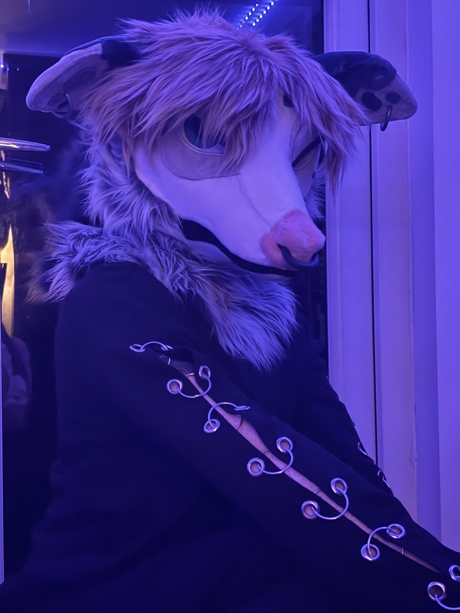 How to find me at NordicFuzzCon!!
I’m only 5’7 but I’ll prolly be wearing boots to make myself feel less insecure🫡
Come n say hey!!! Don’t be a creep and no touching or hugging without asking 🥰 #NFC2025